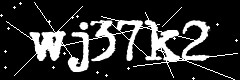 图形验证码